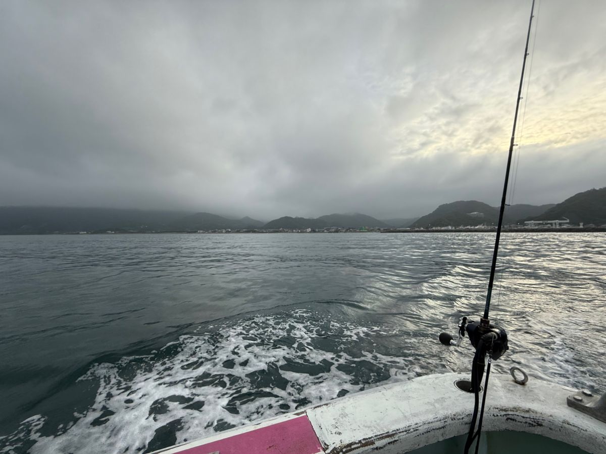 ロッツォさんの釣果 3枚目の画像