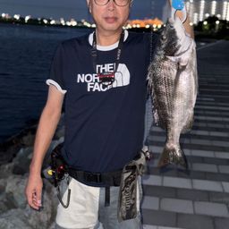クロダイ