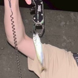 サバ