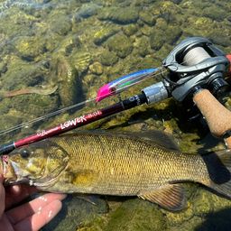 スモールマウスバス