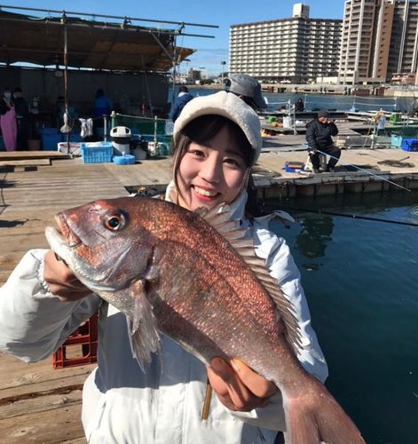 明石海上釣り堀 あっとしぃー