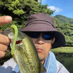 ブラックバス