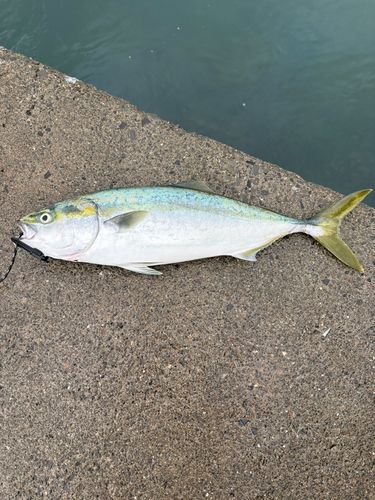 和気漁港