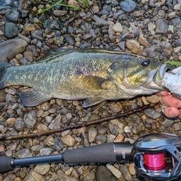 スモールマウスバス