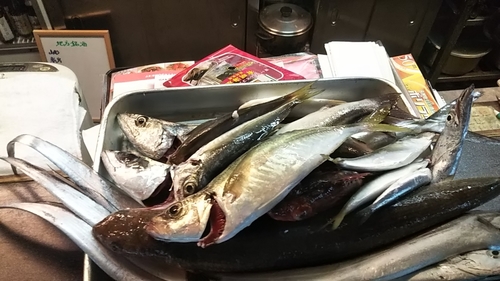 タチウオの釣果