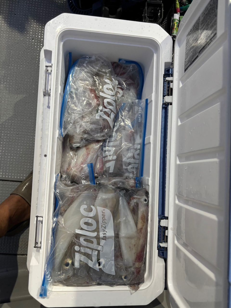 田畑良朗@なつき丸さんの釣果 2枚目の画像