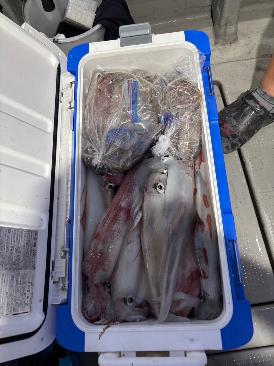 田畑良朗@なつき丸さんの釣果 3枚目の画像