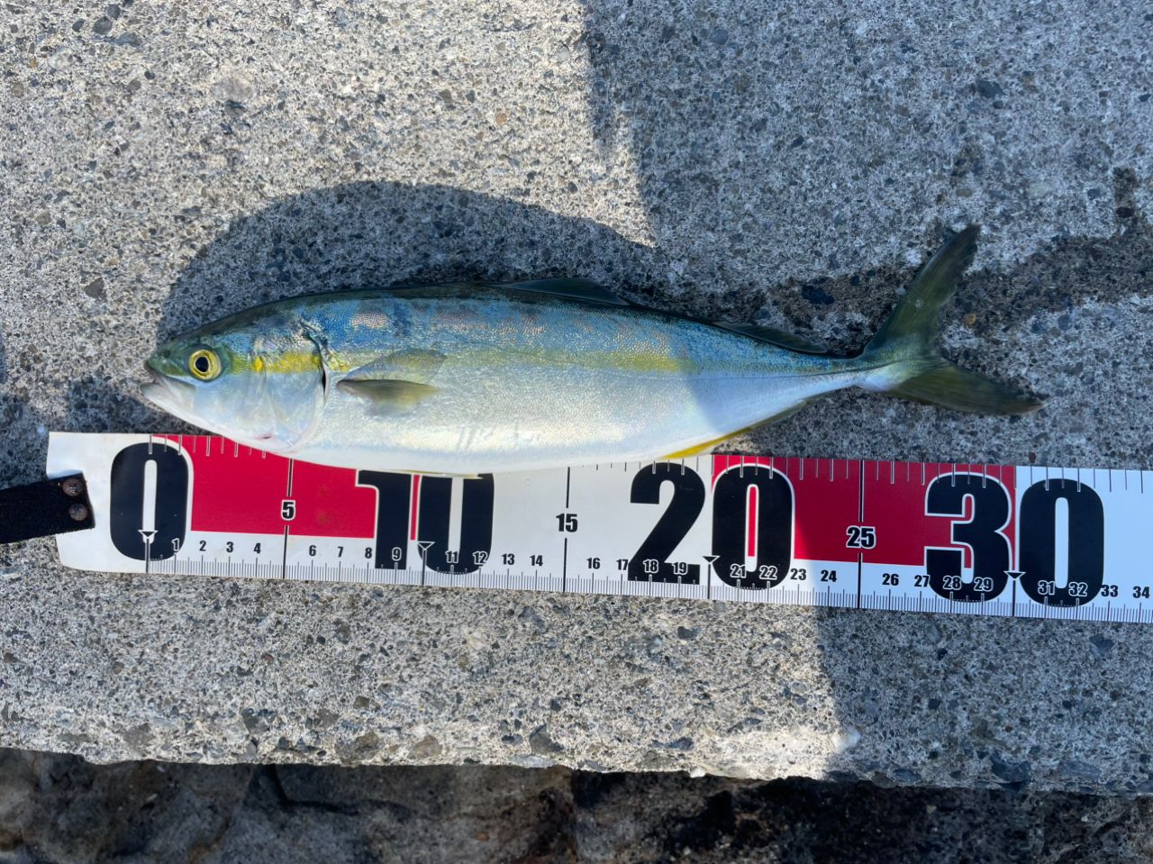 AbuGarcia クロスフィールド XRFS-1032Mの最安値・インプレ