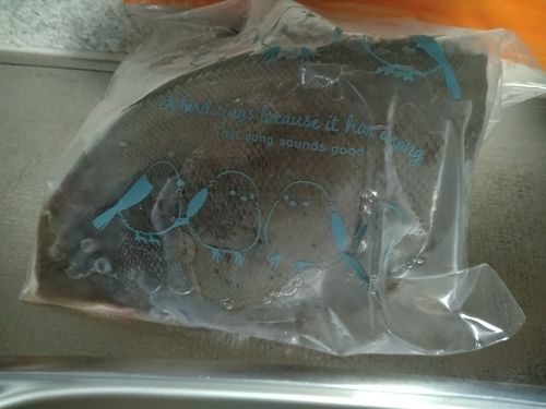 シタビラメの釣果