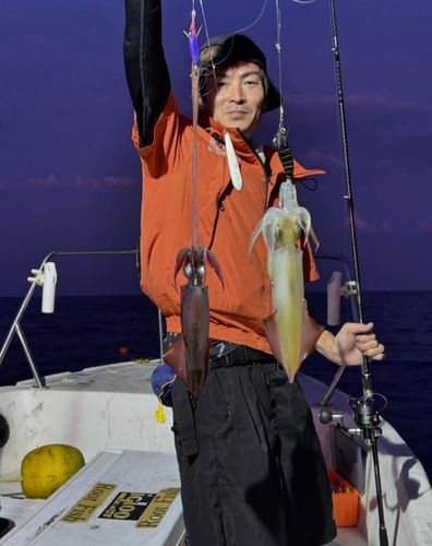 シロイカの釣果