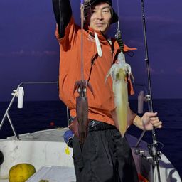 シロイカ