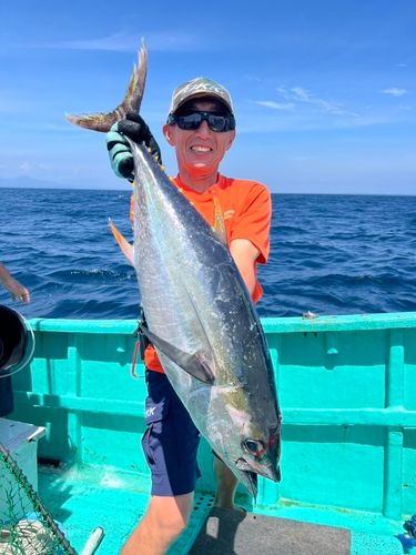 キハダマグロの釣果