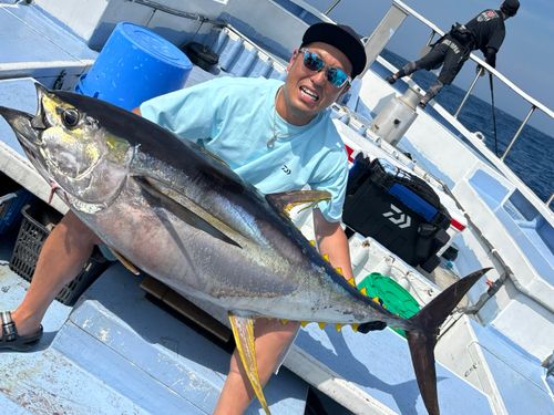 キハダマグロの釣果