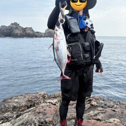 カツオ