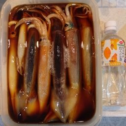 イカ