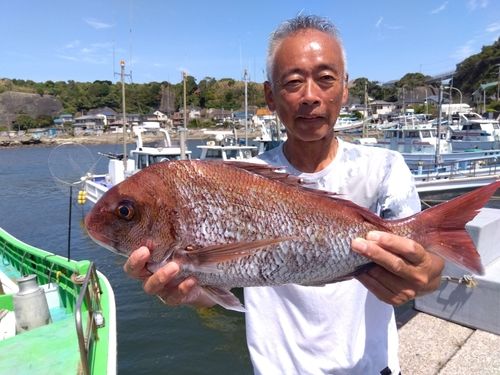 マダイの釣果