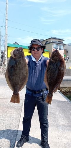 ヒラメの釣果