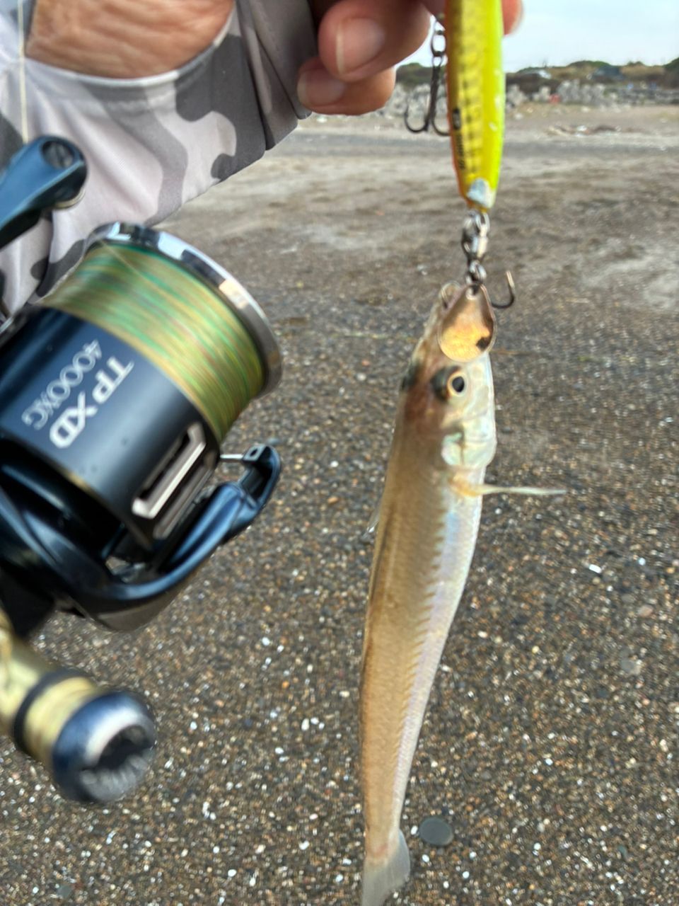 SHIMANO 22ネッサXR S112M+の最安値・インプレ・釣果 | 本音の