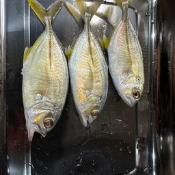メッキ