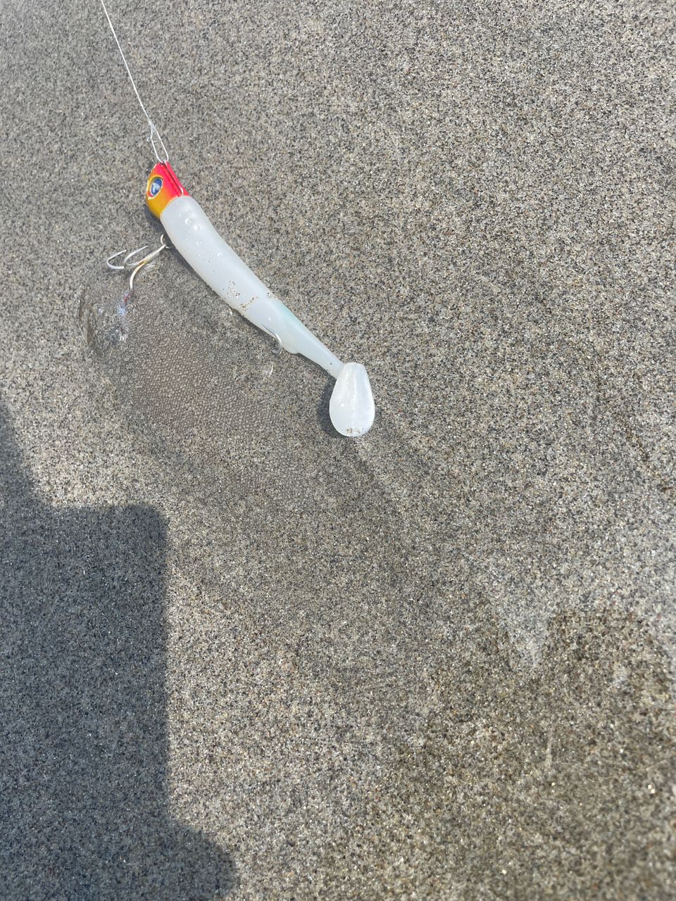 ショゴ