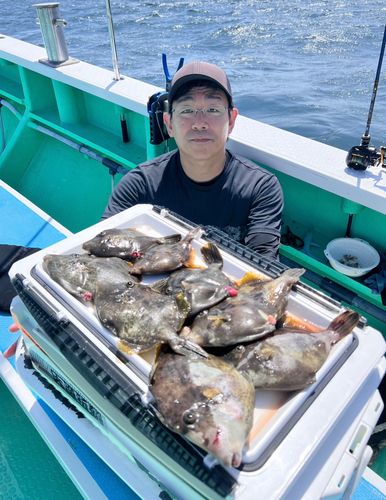 カワハギの釣果