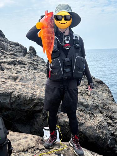 アカハタの釣果