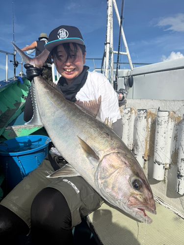 カンパチの釣果