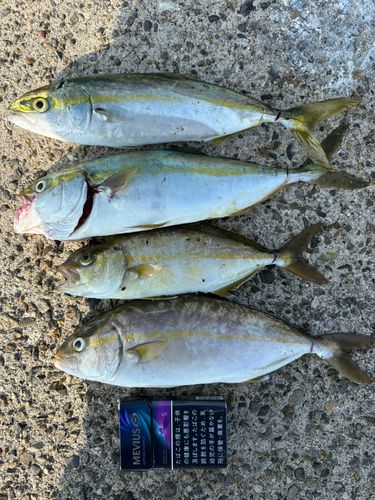 釣果