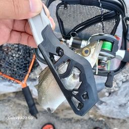 セイゴ（ヒラスズキ）