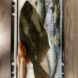 ツバス