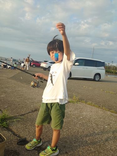 サンバソウの釣果