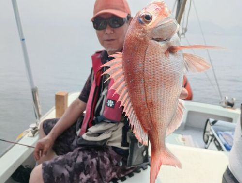 ヘダイの釣果