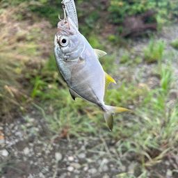メッキ