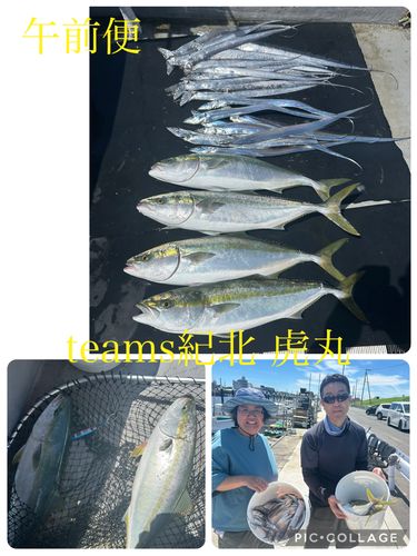メジロの釣果