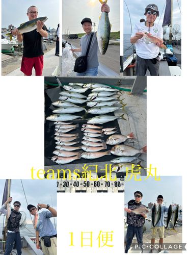メジロの釣果
