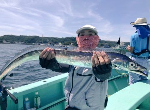タチウオの釣果