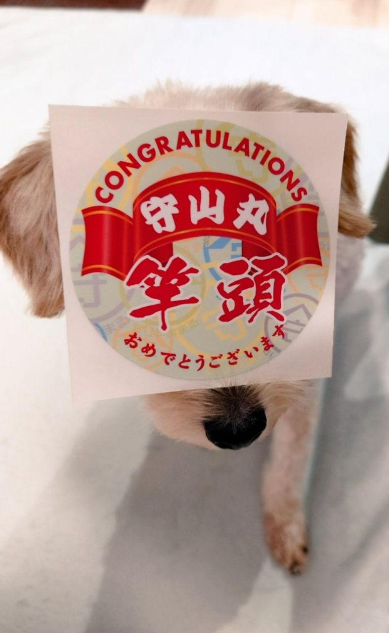 はくさい🎣🐟さんの釣果 3枚目の画像