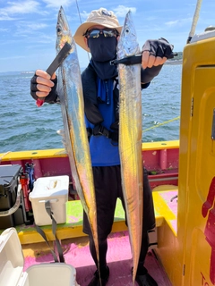 タチウオの釣果