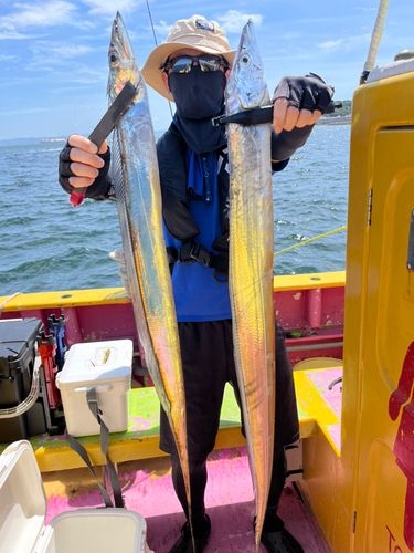 タチウオの釣果