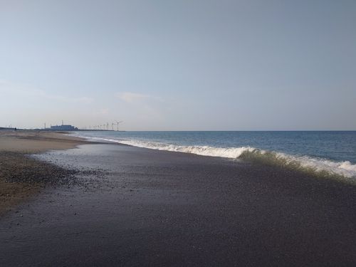 アカエイの釣果