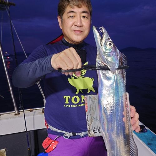 タチウオの釣果