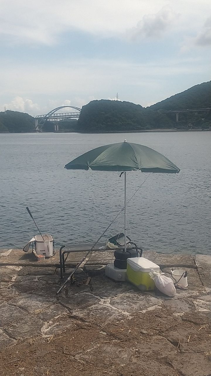 チヌ