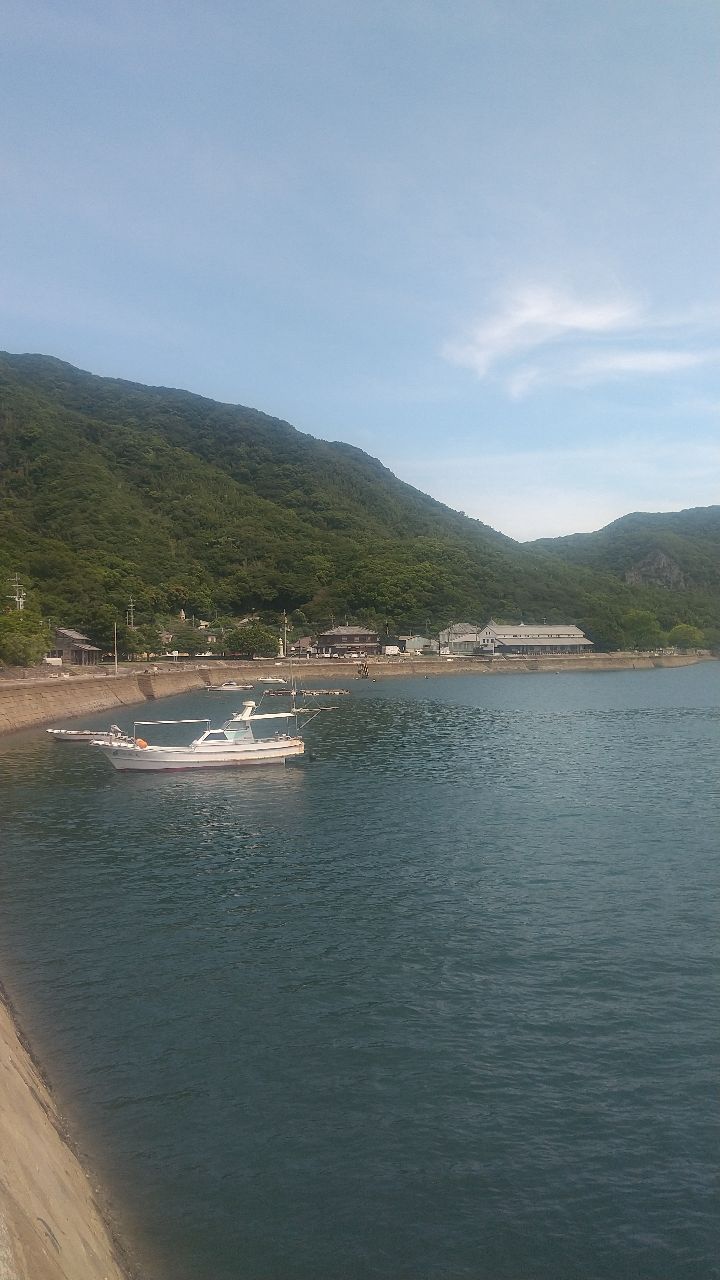 チヌ