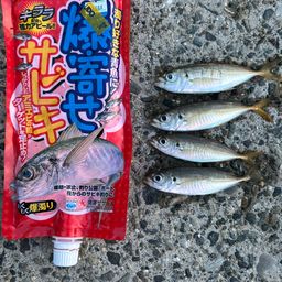 アジ