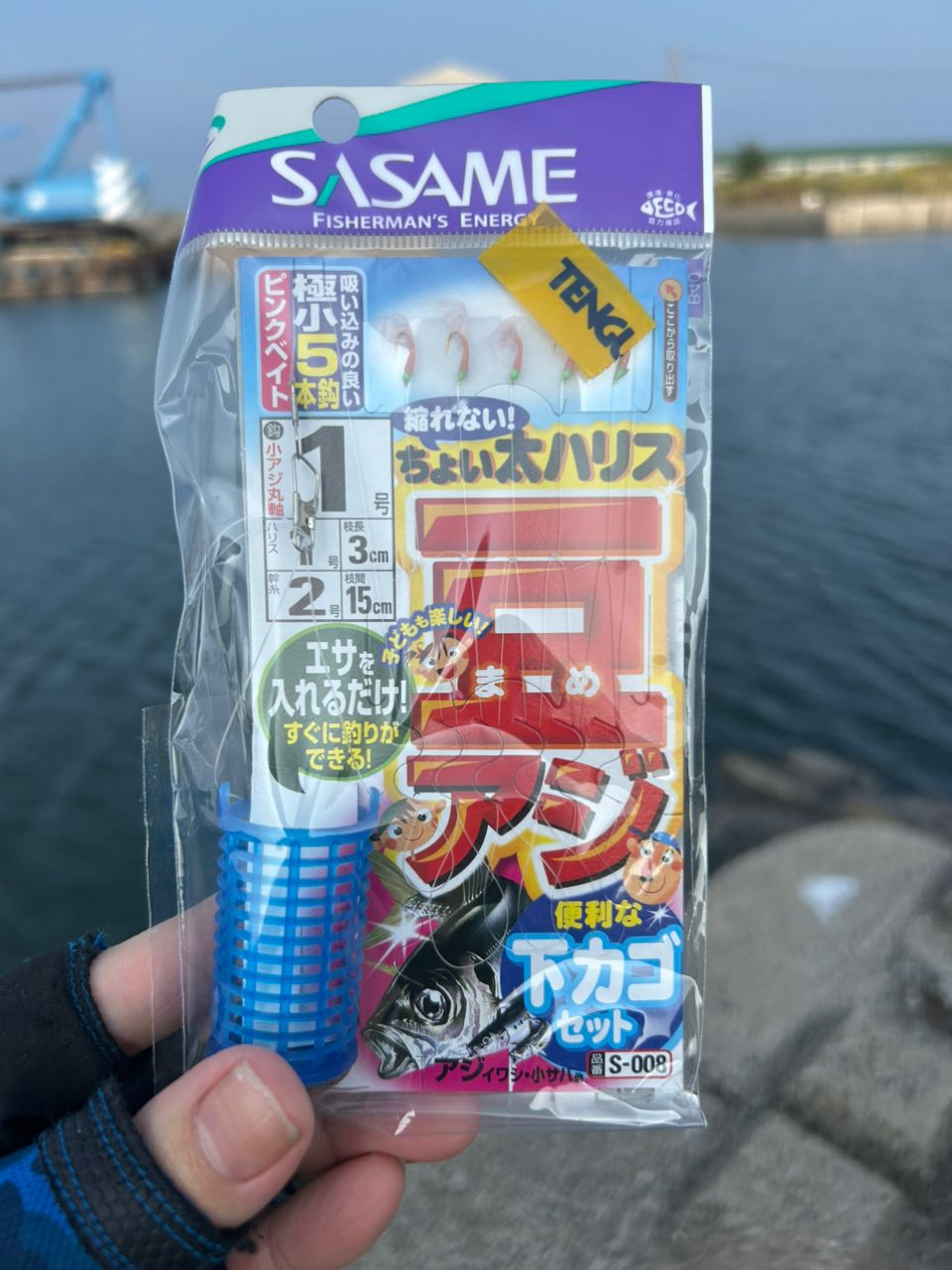 アジ