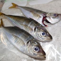 アジ