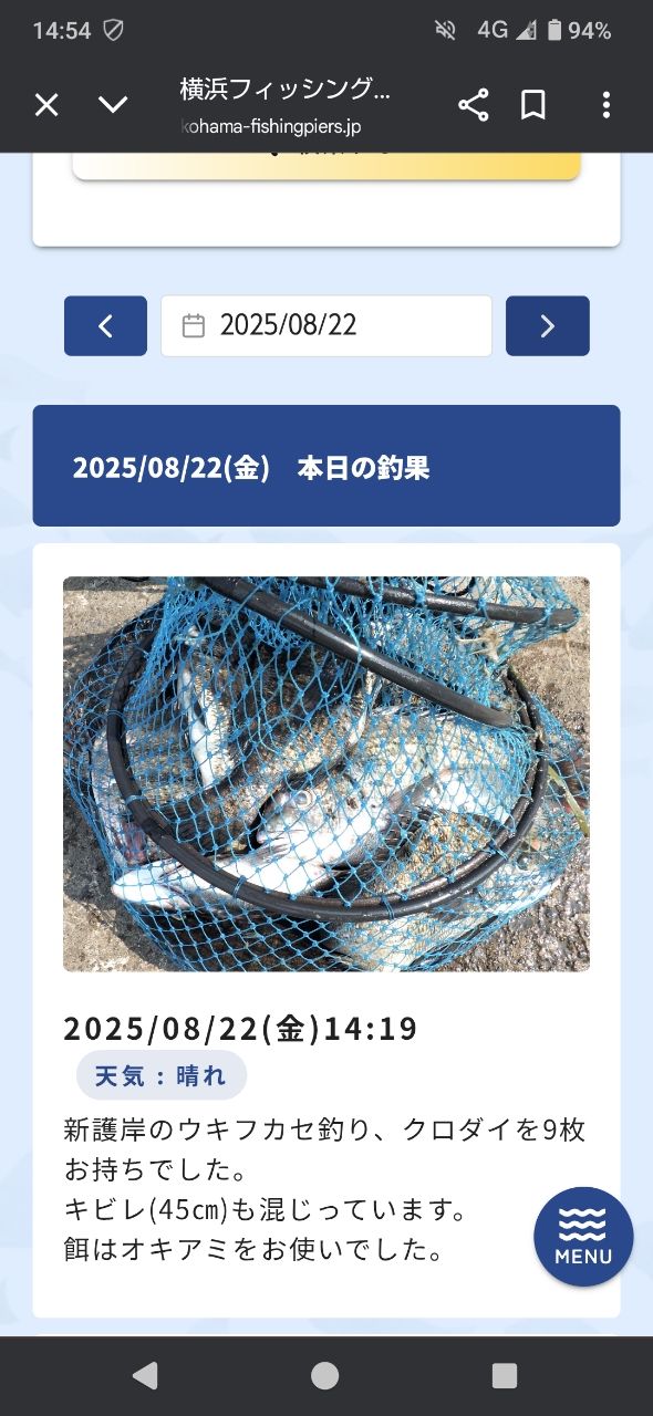 クロダイ