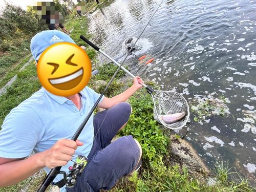 トラウトの釣果