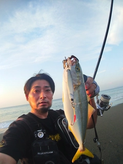 ワカシの釣果