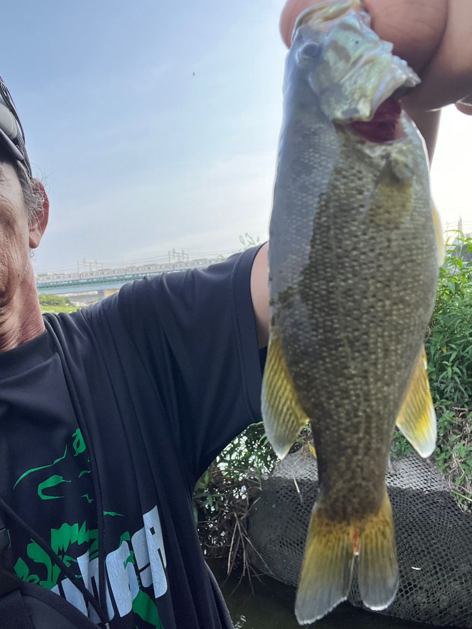 スモールマウスバス